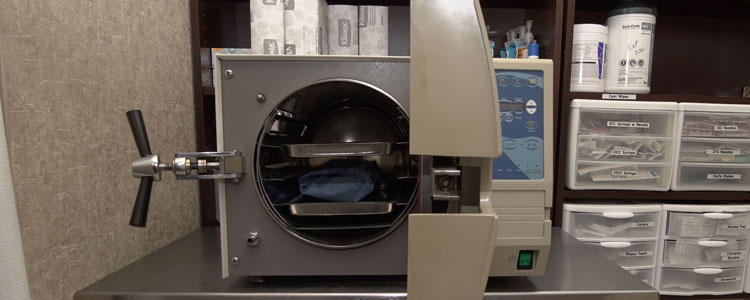 Autoclave Back